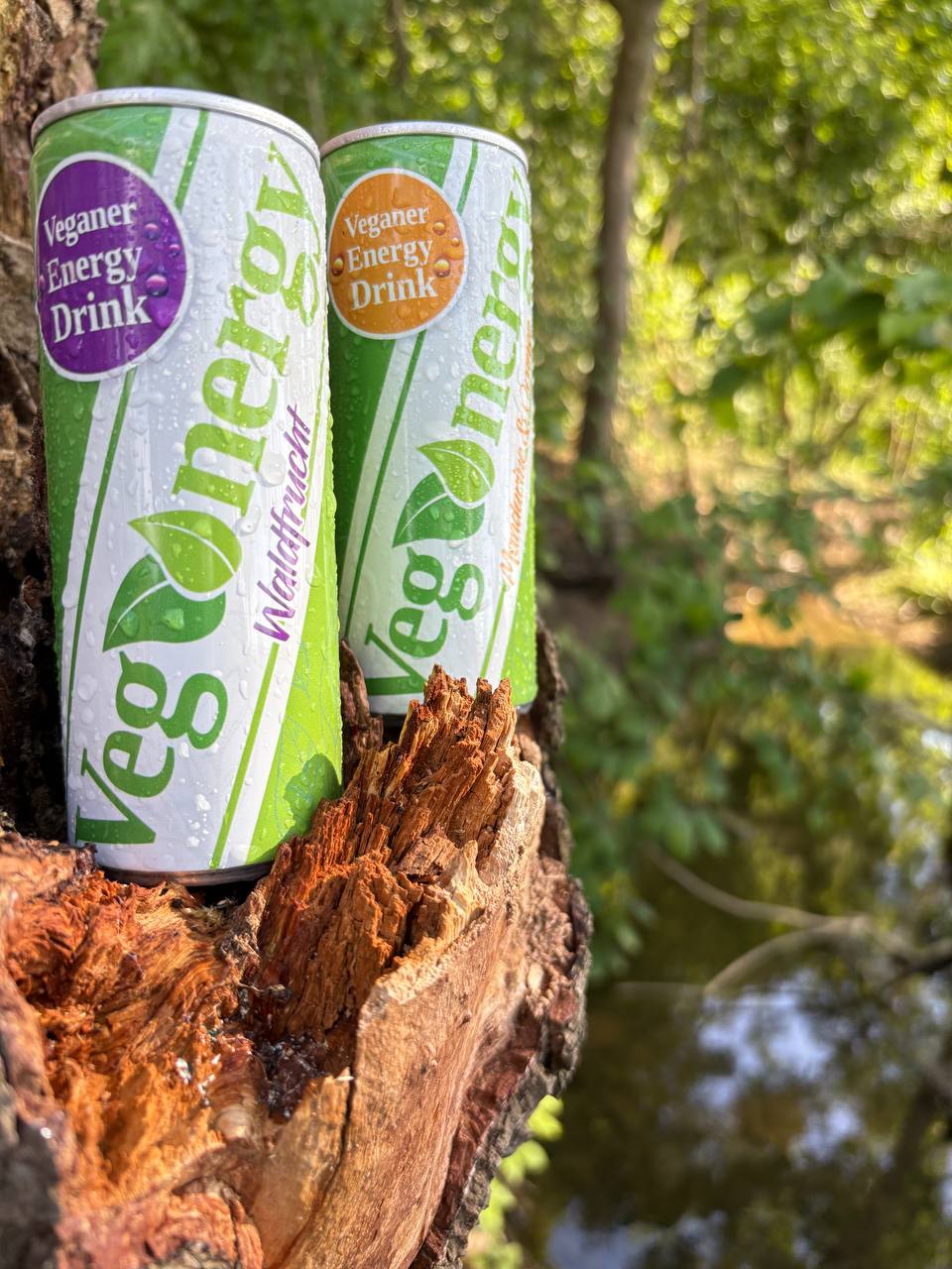 Zwei eisgekühlte Dosen Vegenergy – Sorten Waldfrucht und Mandarine-Orange – stehen auf einem aufgebrochenen Baumstamm am Waldrand, im Hintergrund spiegelt sich das Grün der Bäume im Wasser.