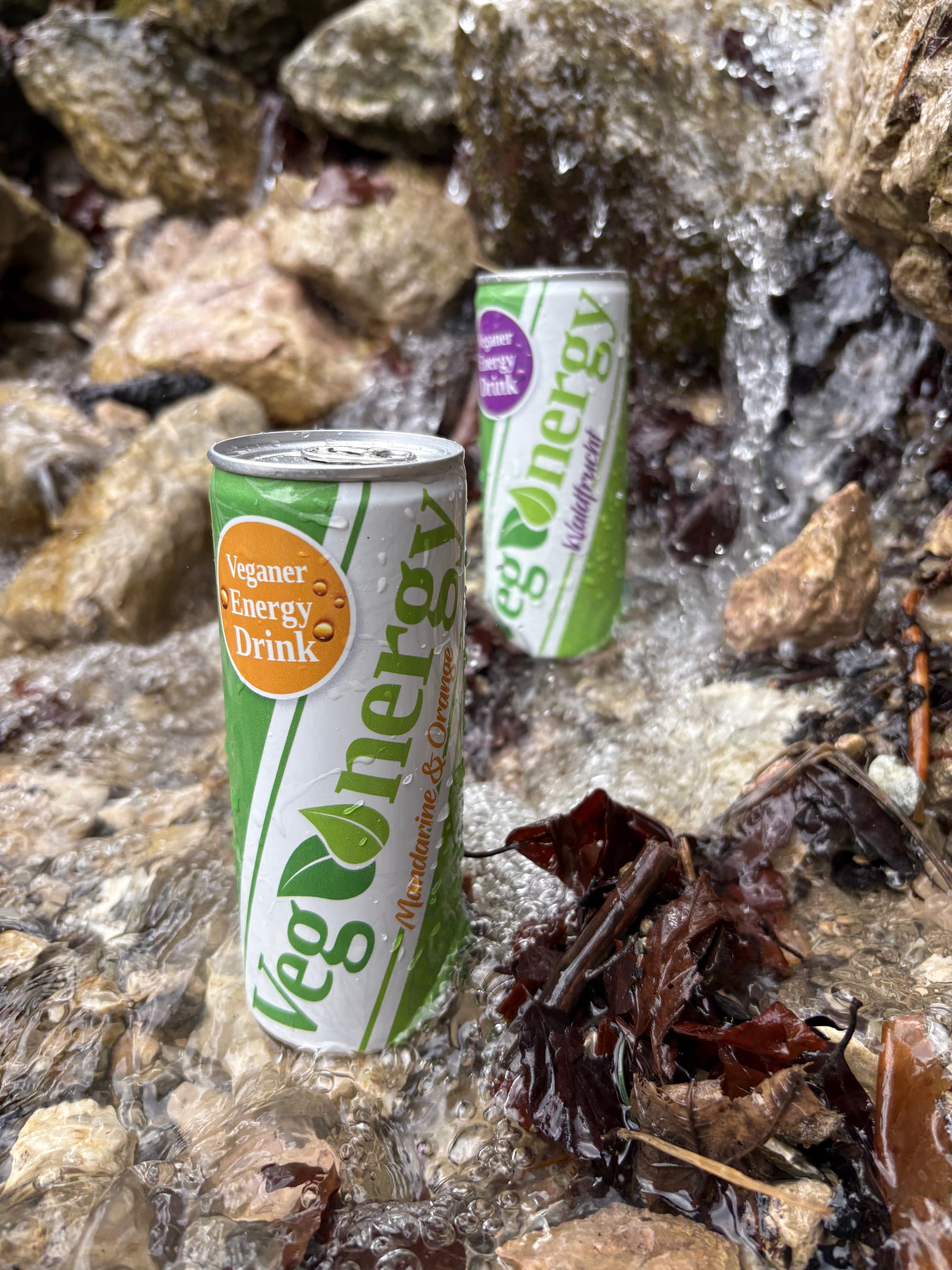Zwei Dosen Vegenergy in den Sorten Mandarine Orange und Waldfrucht stehen erfrischend gekühlt im klaren Wasser eines kleinen Bachs, umgeben von Natur.