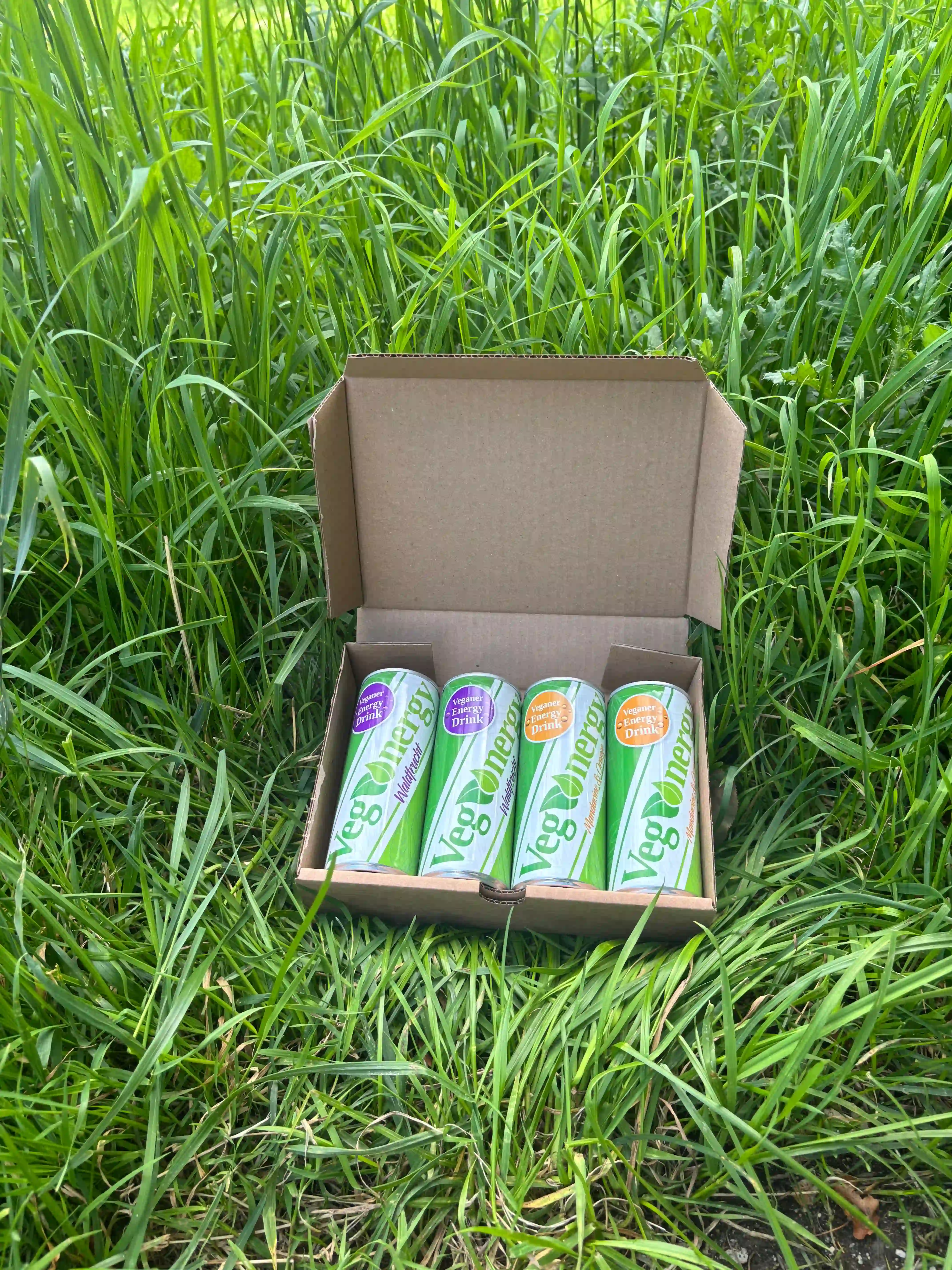 Vier Vegenergy-Dosen in einer offenen Kartonbox auf einem Felsen mit Blick auf eine sommerliche Landschaft im Hintergrund.