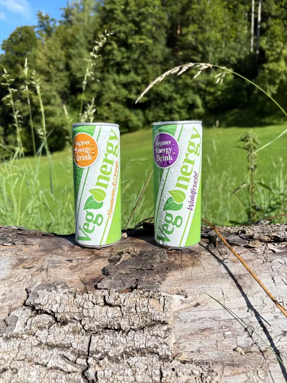 Zwei Dosen Vegenergy Energy Drink in den Sorten Mandarine & Orange und Waldfrucht auf einem Baumstamm in der Natur