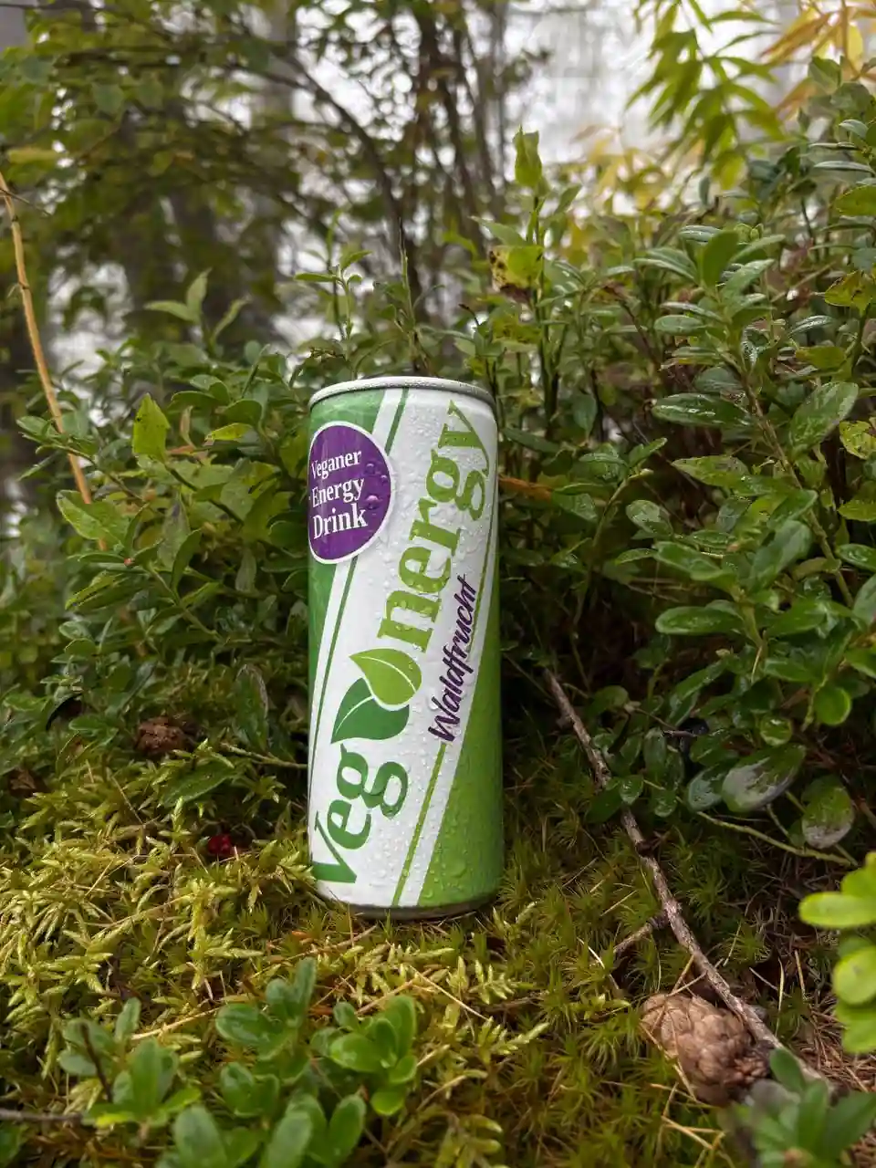 Vegenergy Waldfrucht Energy Drink im Grünen auf Moos, Symbol für natürliche Energie und pflanzliche Inhaltsstoffe.